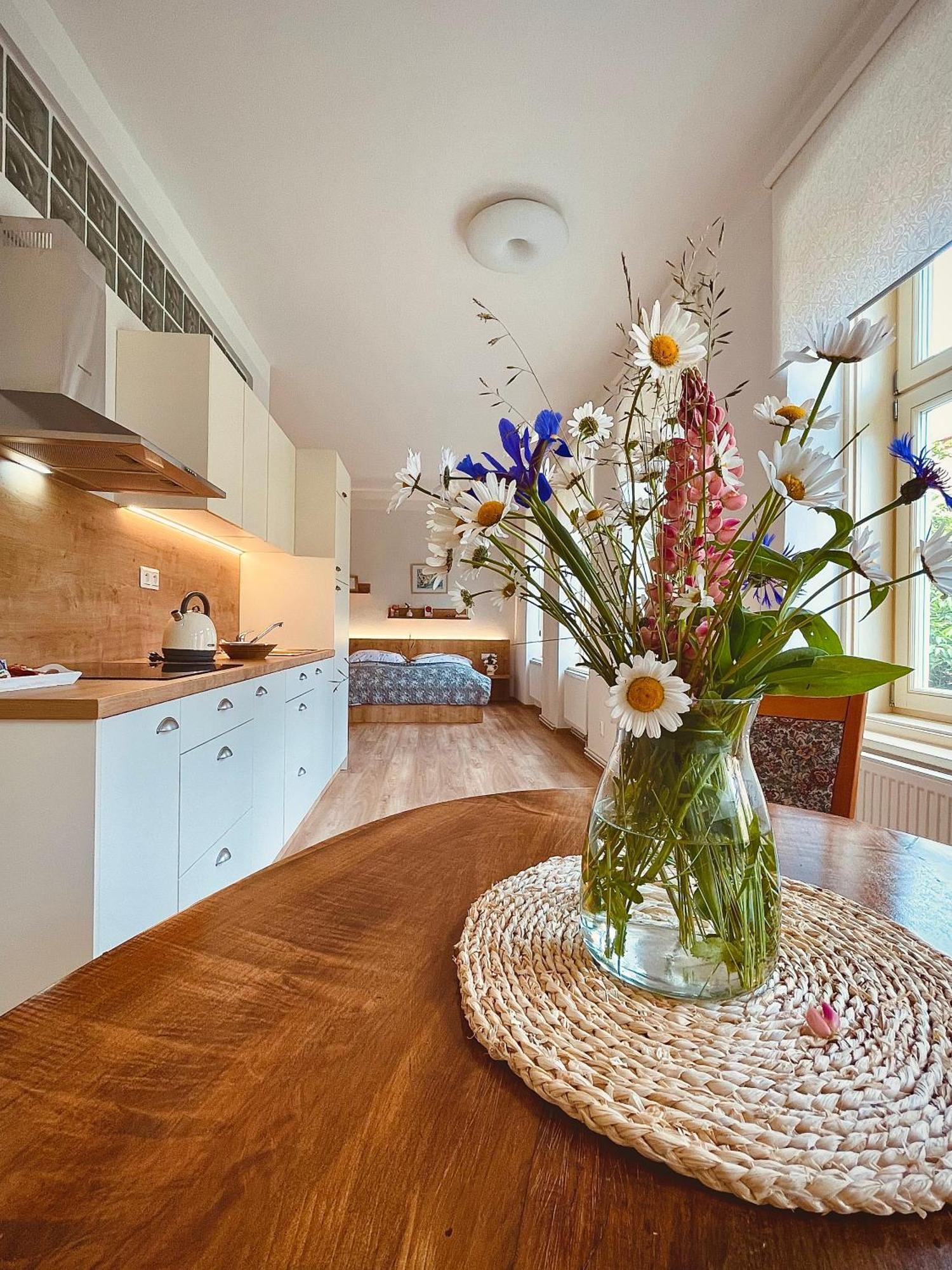 Apartmany Basta & Wellness Sušice Εξωτερικό φωτογραφία
