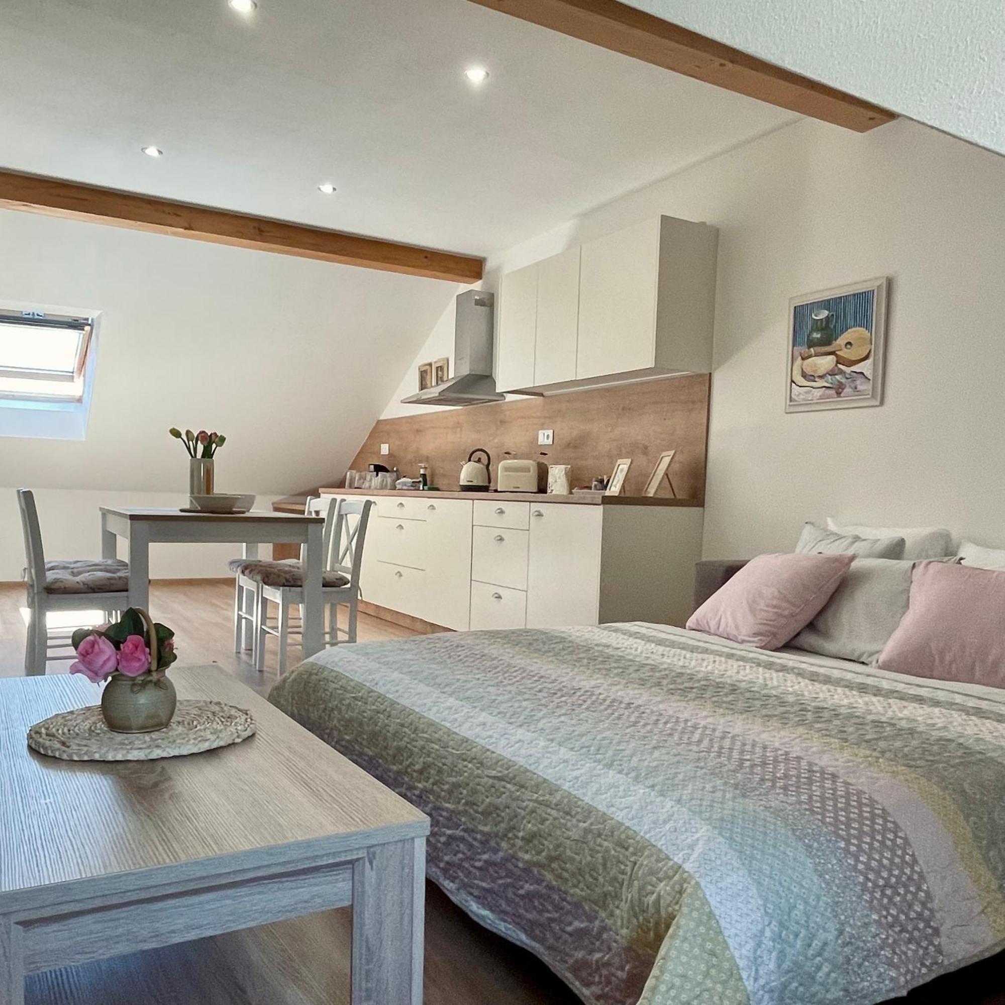 Apartmany Basta & Wellness Sušice Εξωτερικό φωτογραφία